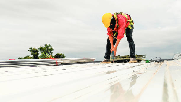 Best Sheet Metal Roofing  in Hempstead, TX